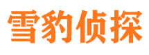 延安侦探公司